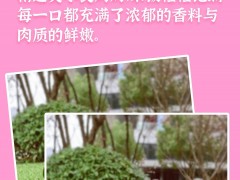 <strong>新品 | 全新寿司饭团，只为给您带来最高的品质</strong>